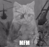 1682451560640.png