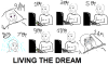 TEMP.png