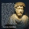 marcus aurelius live a good life quote.jpeg