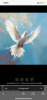 IMG_8632.png IMG_8632.png
