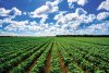 Agritourism.jpeg-1024x683.jpg