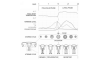 the rational male phase shift.png the rational male phase shift.png