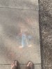 IMG_6890.jpeg