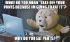 what do you mean.jpg