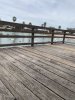IMG_6759.jpeg IMG_6759.jpeg