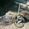 horseshoes.jpg horseshoes.jpg