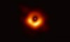7200.jpg