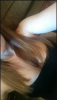1582648146549.png