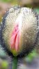 main-qimg-57d96f87a57ae82a5df2b7bef1130c28.jpeg