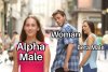 MW 35.jpg