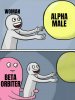 MW 39.jpg