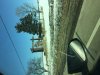 698AF17C-57D7-46E3-9463-890CDFE7AF00.jpeg