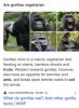 610B3390-6387-4D7B-9E0E-047CA4AAFB2D.jpeg