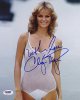 Cheryl Tiegs.jpg