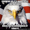 1645795015634.png