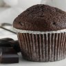 Chocolate Muffin