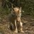 GrayWolf76