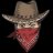 Sheriff Sunburn