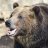 TheBear
