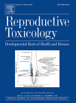 www.sciencedirect.com