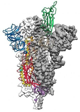 joshmitteldorf.scienceblog.com