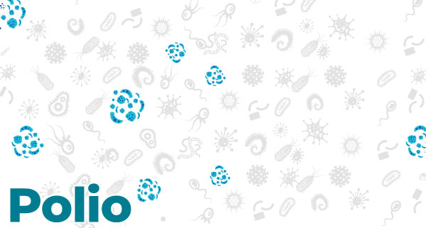 www.cdc.gov